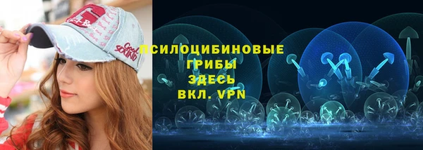 spice Алексин