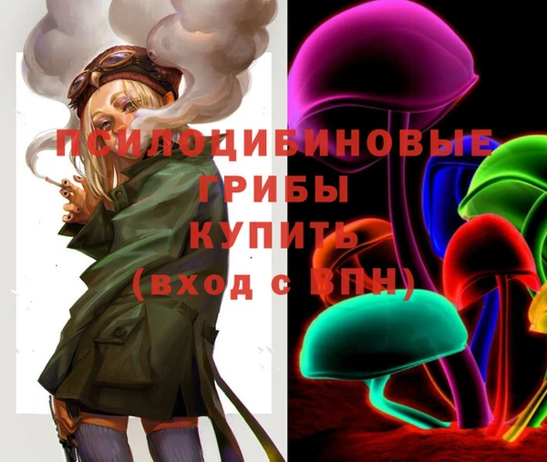 spice Алексин