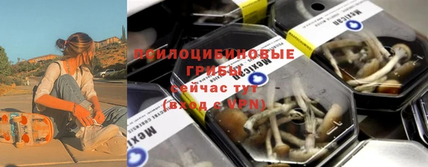 spice Алексин