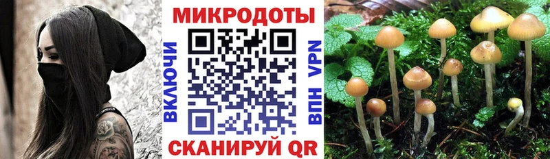 даркнет сайт  Тайшет  мега как войти  Псилоцибиновые грибы прущие грибы 